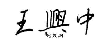 王正良王兴中行书个性签名怎么写
