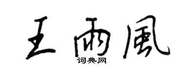 王正良王雨风行书个性签名怎么写
