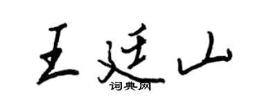王正良王廷山行书个性签名怎么写