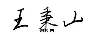 王正良王秉山行书个性签名怎么写