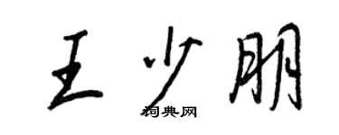 王正良王少朋行书个性签名怎么写