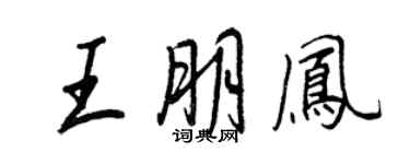 王正良王朋凤行书个性签名怎么写