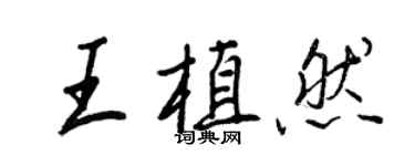 王正良王植然行书个性签名怎么写