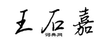王正良王石嘉行书个性签名怎么写