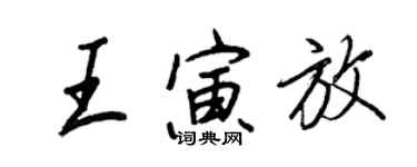 王正良王寅放行书个性签名怎么写