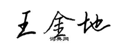 王正良王金地行书个性签名怎么写