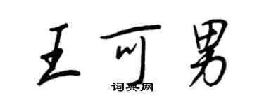 王正良王可男行书个性签名怎么写