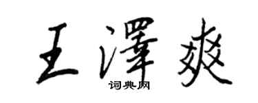 王正良王泽爽行书个性签名怎么写