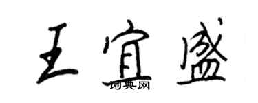 王正良王宜盛行书个性签名怎么写