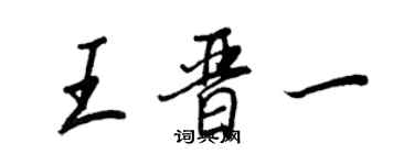 王正良王晋一行书个性签名怎么写