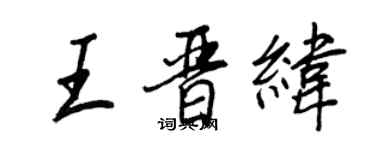 王正良王晋纬行书个性签名怎么写