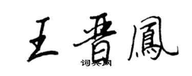 王正良王晋凤行书个性签名怎么写