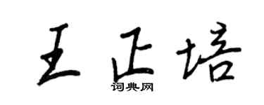 王正良王正培行书个性签名怎么写