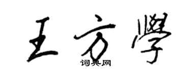 王正良王方学行书个性签名怎么写