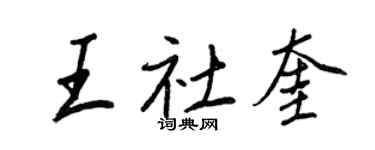 王正良王社奎行书个性签名怎么写
