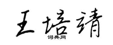 王正良王培靖行书个性签名怎么写
