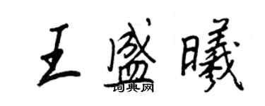 王正良王盛曦行书个性签名怎么写
