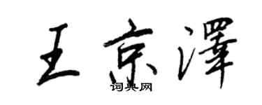 王正良王京泽行书个性签名怎么写
