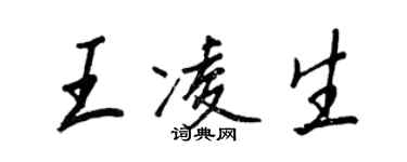 王正良王凌生行书个性签名怎么写