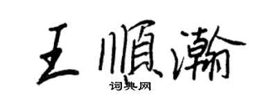 王正良王顺瀚行书个性签名怎么写
