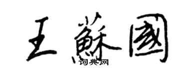 王正良王苏国行书个性签名怎么写