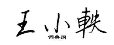 王正良王小轶行书个性签名怎么写
