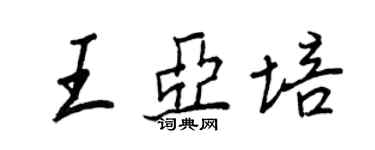 王正良王亚培行书个性签名怎么写