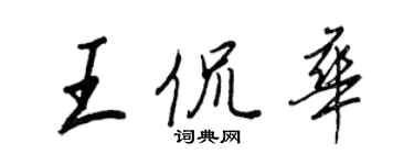 王正良王侃华行书个性签名怎么写