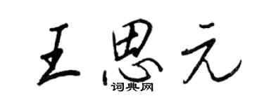王正良王思元行书个性签名怎么写