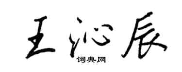 王正良王沁辰行书个性签名怎么写