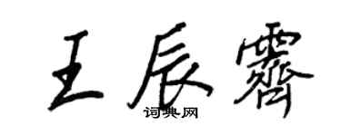 王正良王辰霁行书个性签名怎么写