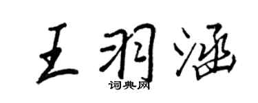 王正良王羽涵行书个性签名怎么写