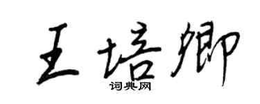 王正良王培卿行书个性签名怎么写