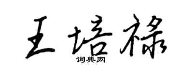 王正良王培禄行书个性签名怎么写