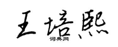 王正良王培熙行书个性签名怎么写