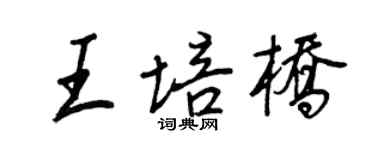 王正良王培桥行书个性签名怎么写