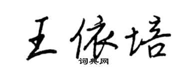 王正良王依培行书个性签名怎么写