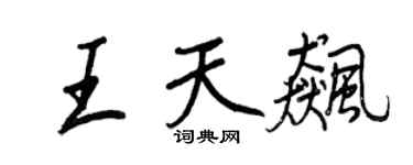 王正良王天飚行书个性签名怎么写