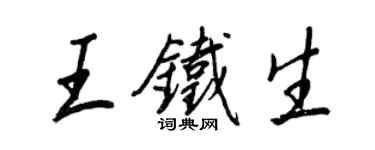 王正良王铁生行书个性签名怎么写