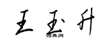 王正良王玉升行书个性签名怎么写