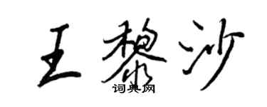 王正良王黎沙行书个性签名怎么写