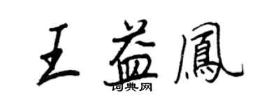 王正良王益凤行书个性签名怎么写