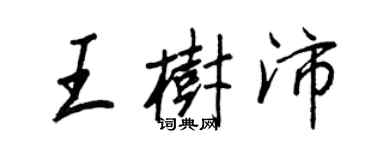 王正良王树沛行书个性签名怎么写