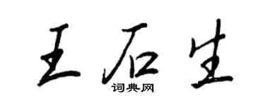 王正良王石生行书个性签名怎么写