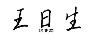 王正良王日生行书个性签名怎么写