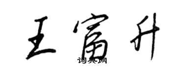王正良王富升行书个性签名怎么写