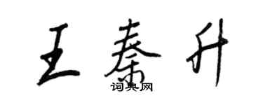 王正良王秦升行书个性签名怎么写
