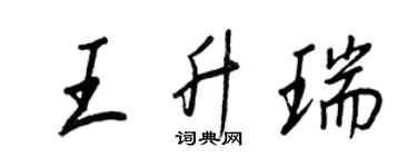王正良王升瑞行书个性签名怎么写