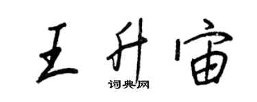王正良王升宙行书个性签名怎么写