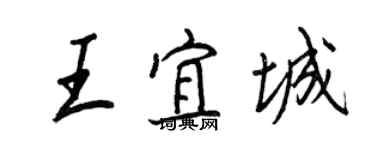 王正良王宜城行书个性签名怎么写